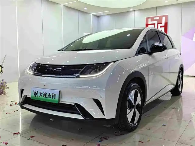 BYD Dolphin