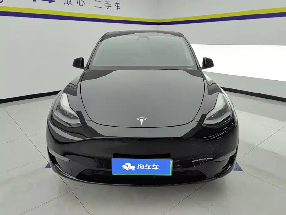 Tesla Model Y — миниатюра 2