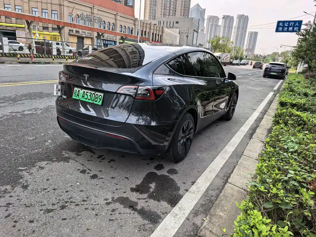 Tesla Model Y — миниатюра 9