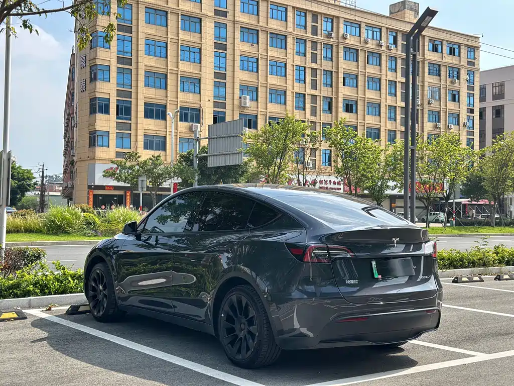Tesla Model Y — миниатюра 8