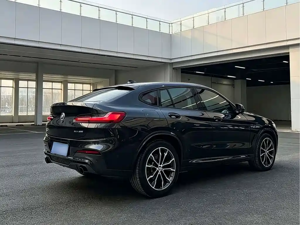 BMW X4 — миниатюра 9