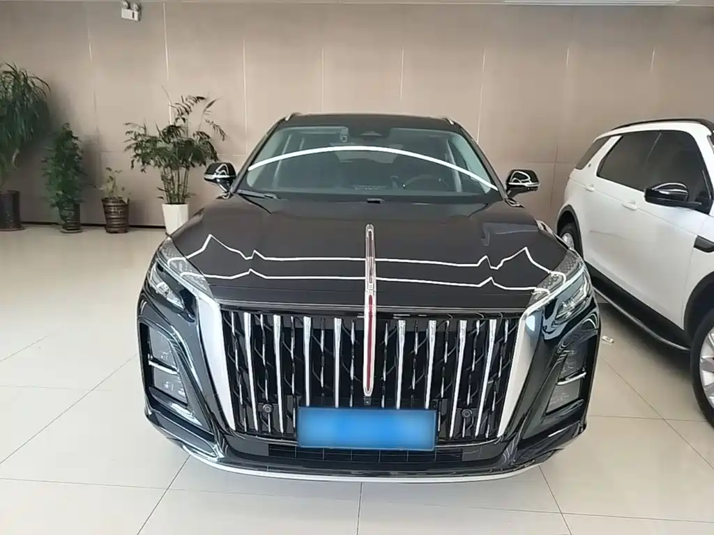 Hongqi Hongqi HS3 — миниатюра 3