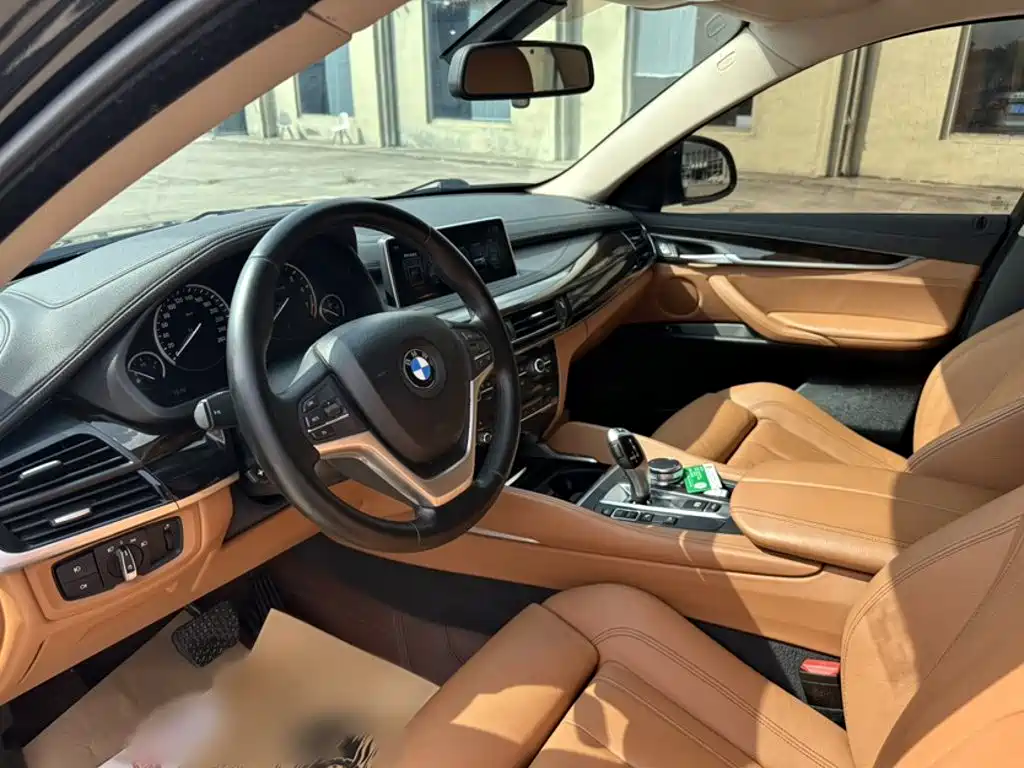 BMW X6 — миниатюра 19
