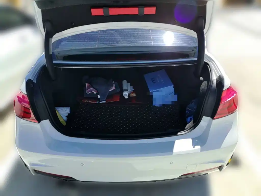 BMW 3 Series — миниатюра 10