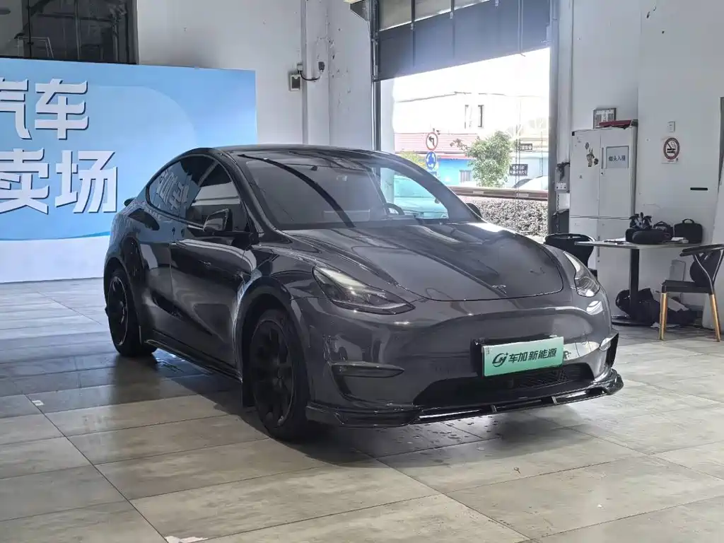 Tesla Model Y — миниатюра 3