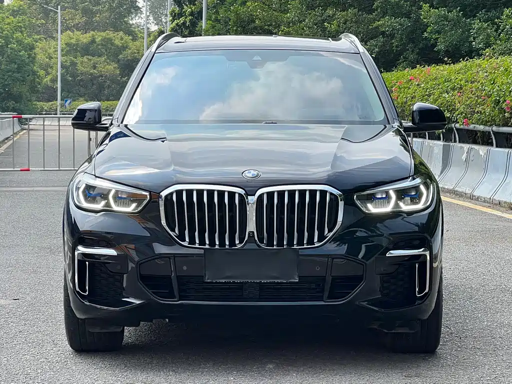 BMW X5 — миниатюра 2