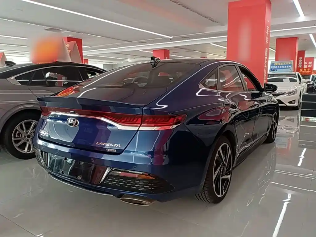 Hyundai Fista — миниатюра 7