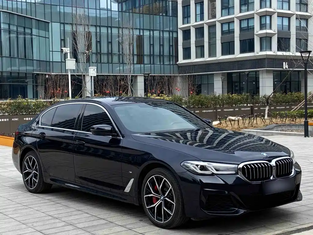 BMW 5 Series — миниатюра 4