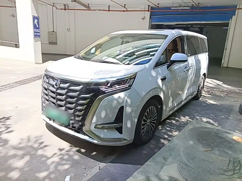 Denza Denza D9