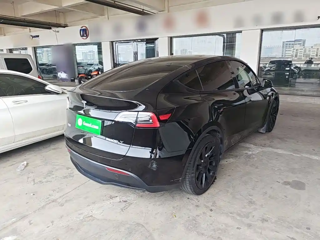 Tesla Model Y — миниатюра 7