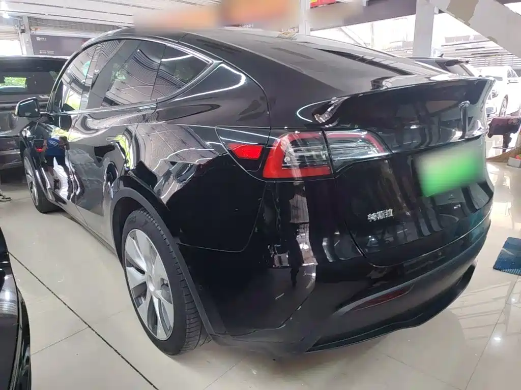 Tesla Model Y — миниатюра 5