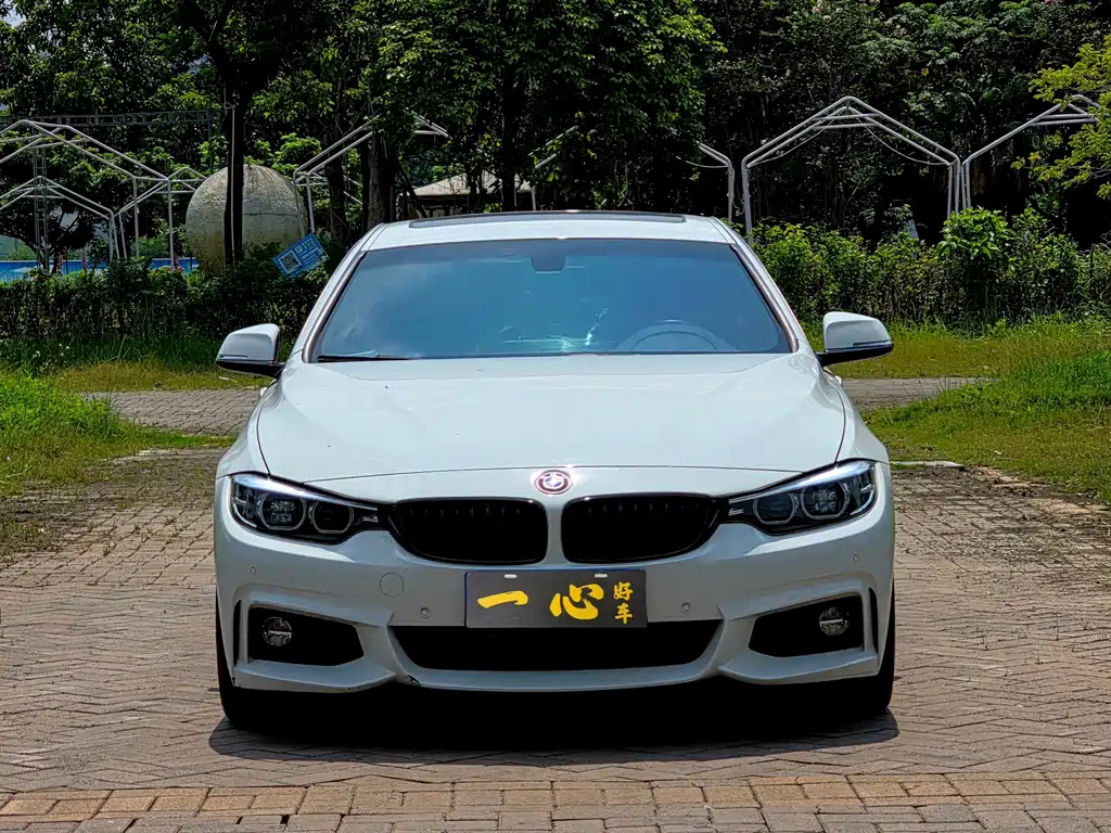 BMW 4 Series — миниатюра 2