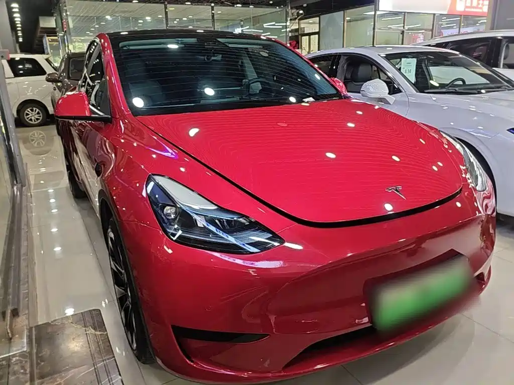 Tesla Model Y — миниатюра 4