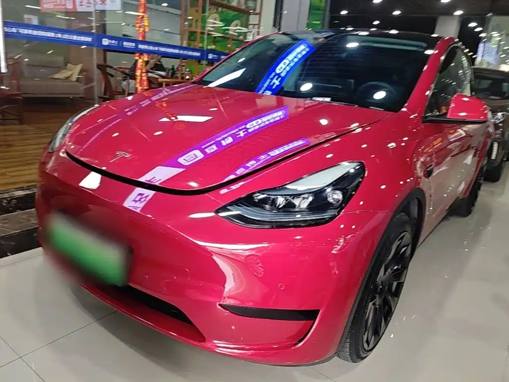 Tesla Model Y — миниатюра 2