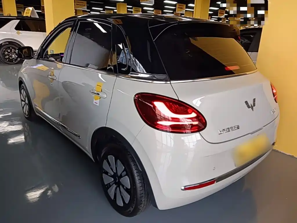 Wuling Binguo 2023 333km +