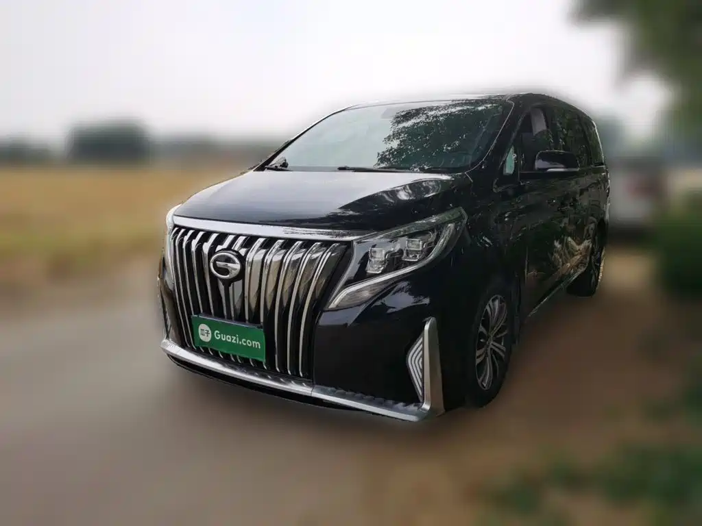 GAC Motor Trumpchi M8 — миниатюра 2