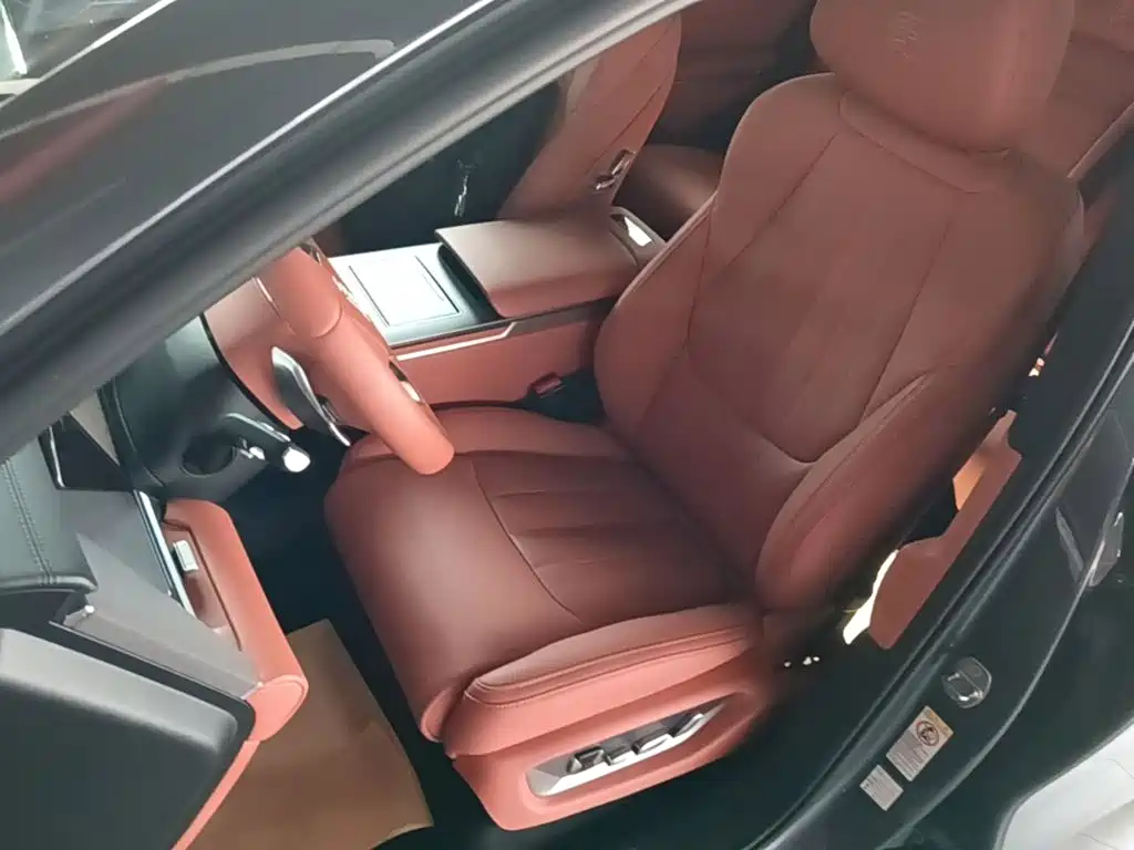 BYD Дон Л. — миниатюра 15