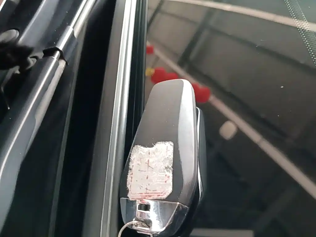 BYD Дон Л. — миниатюра 9
