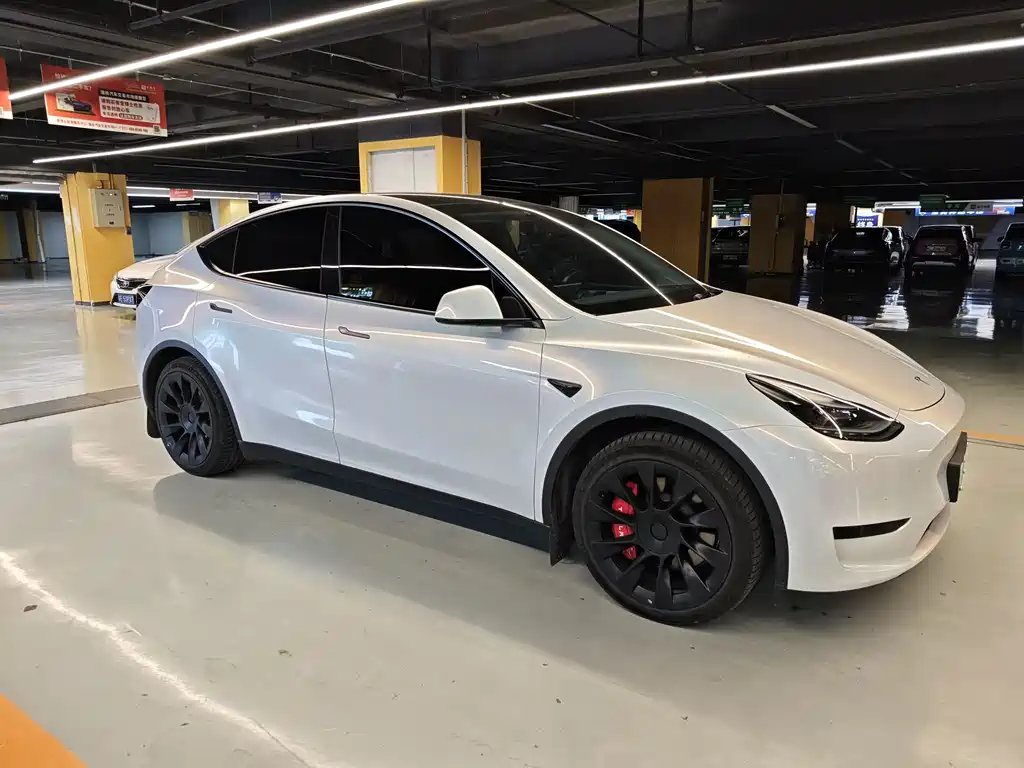 Tesla Model Y — миниатюра 2