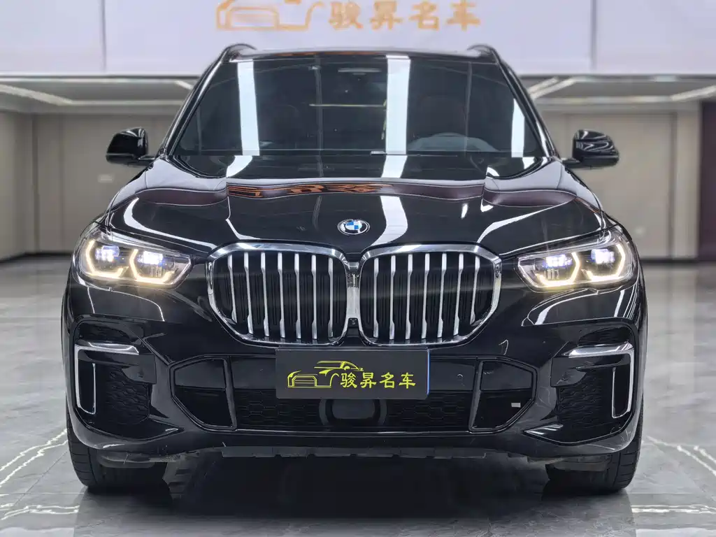 BMW X5 — миниатюра 2