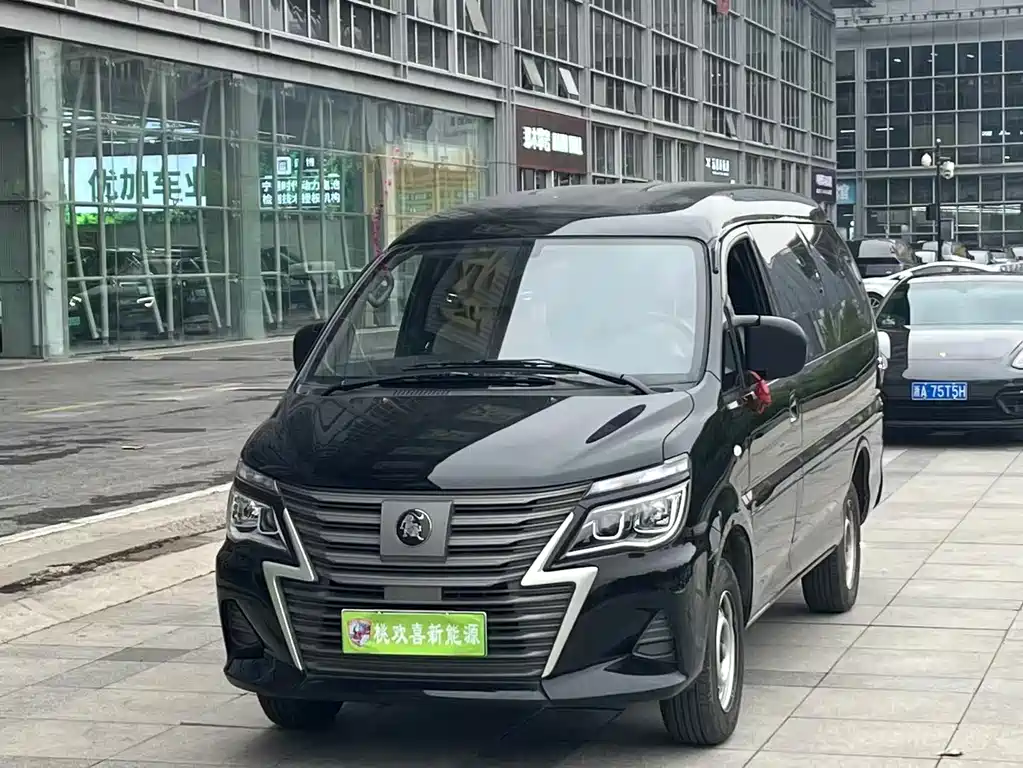 Fengxing Lingzhi New Energy 2024