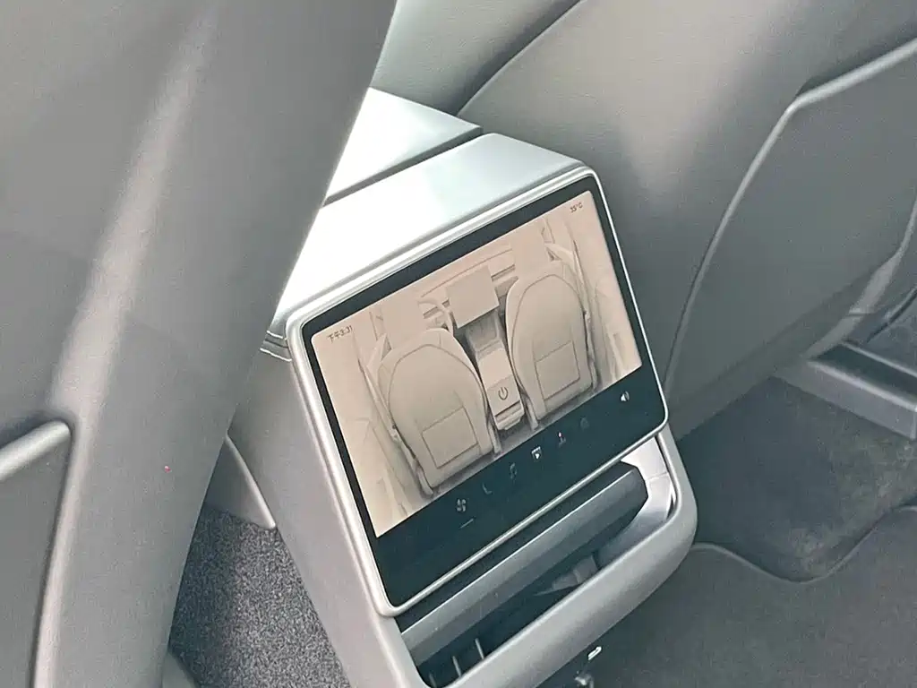 Tesla Model Y — миниатюра 10