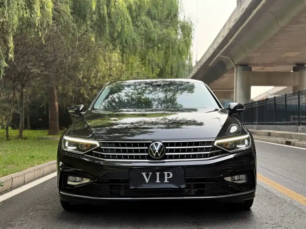 Volkswagen Magotan — миниатюра 2