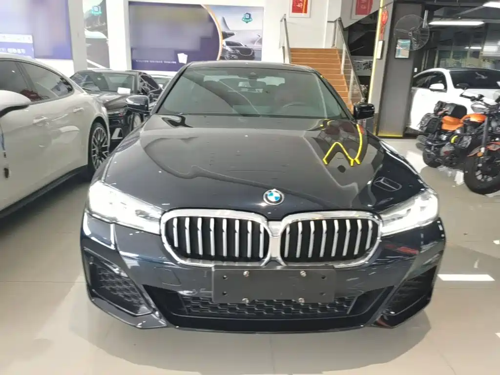 BMW 5 Series New Energy — миниатюра 3