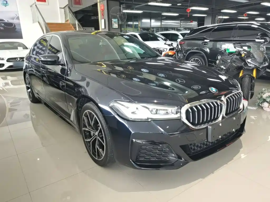BMW 5 Series New Energy — миниатюра 4