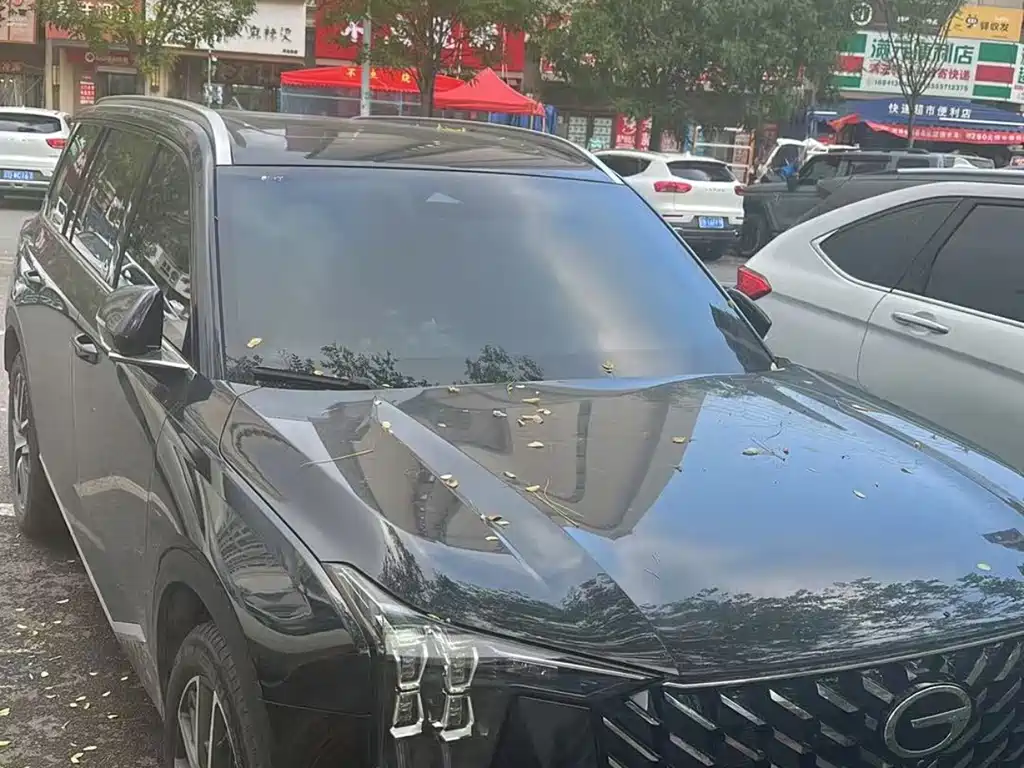 GAC Motor Trumpchi GS8 — миниатюра 5