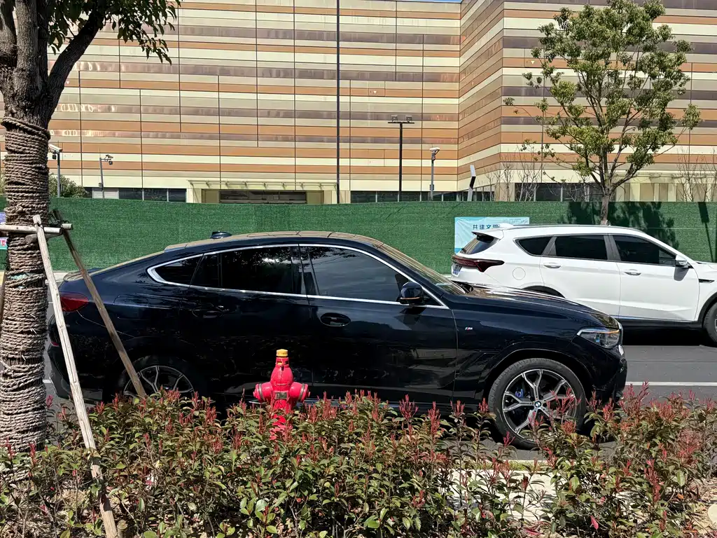 BMW X6 — миниатюра 8