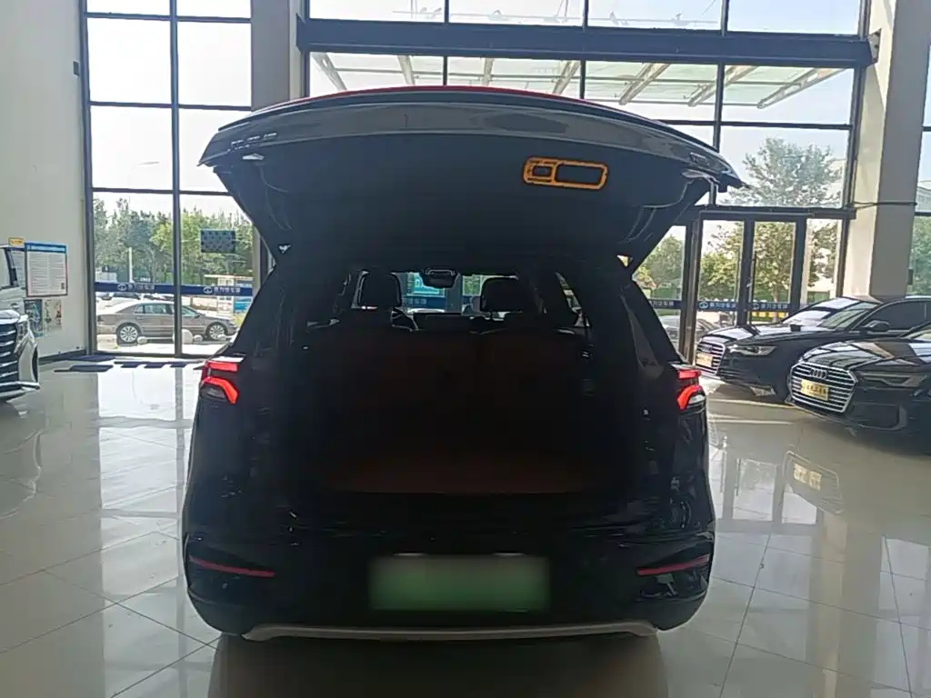 BYD Tang New Energy — миниатюра 19