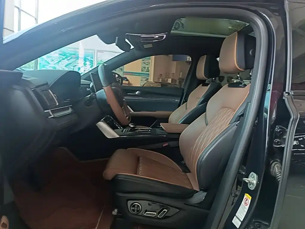 BYD Tang New Energy — миниатюра 15