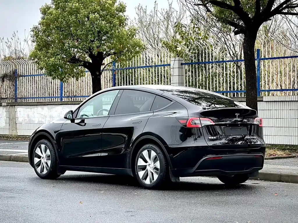 Tesla Model Y — миниатюра 4