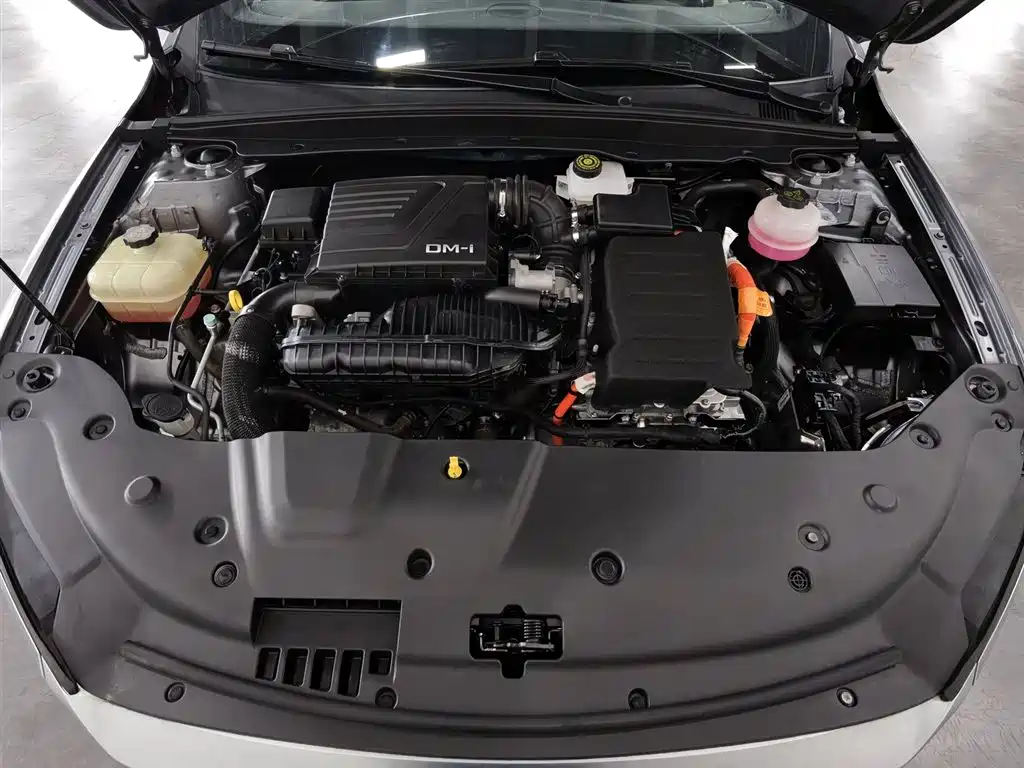 BYD Qin Plus PLUS 2023 Champion DM-i 55KM