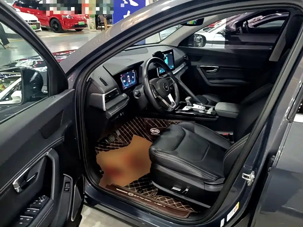 BYD Pro — миниатюра 16