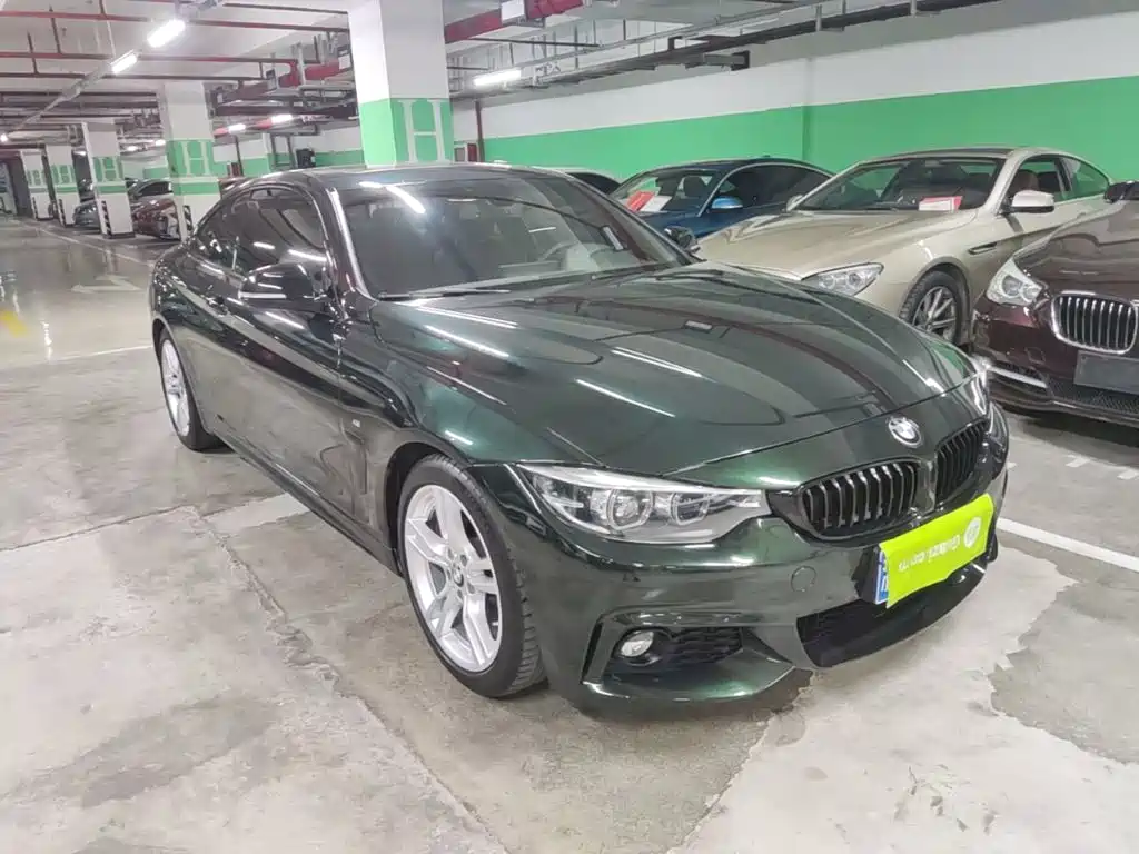 BMW 4 Series — миниатюра 4