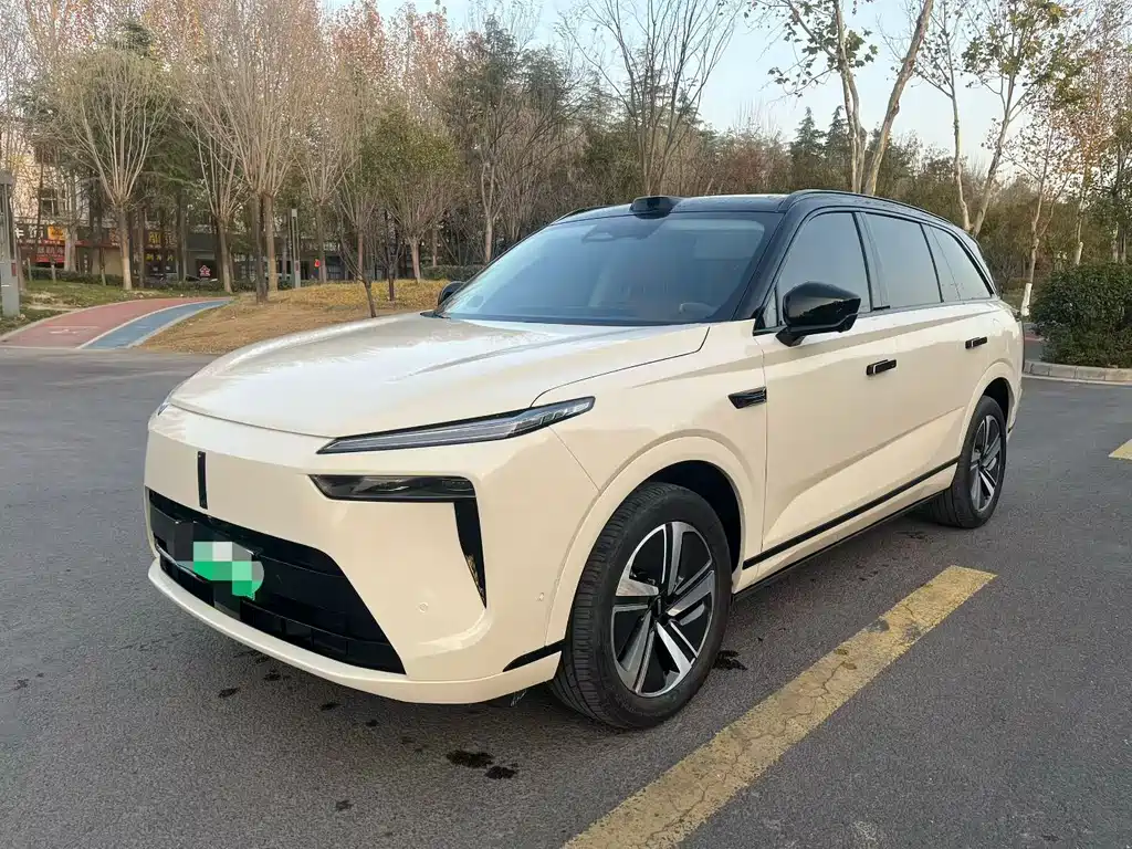 WEI PAI WEI BRAND BLUE MOUNTAIN