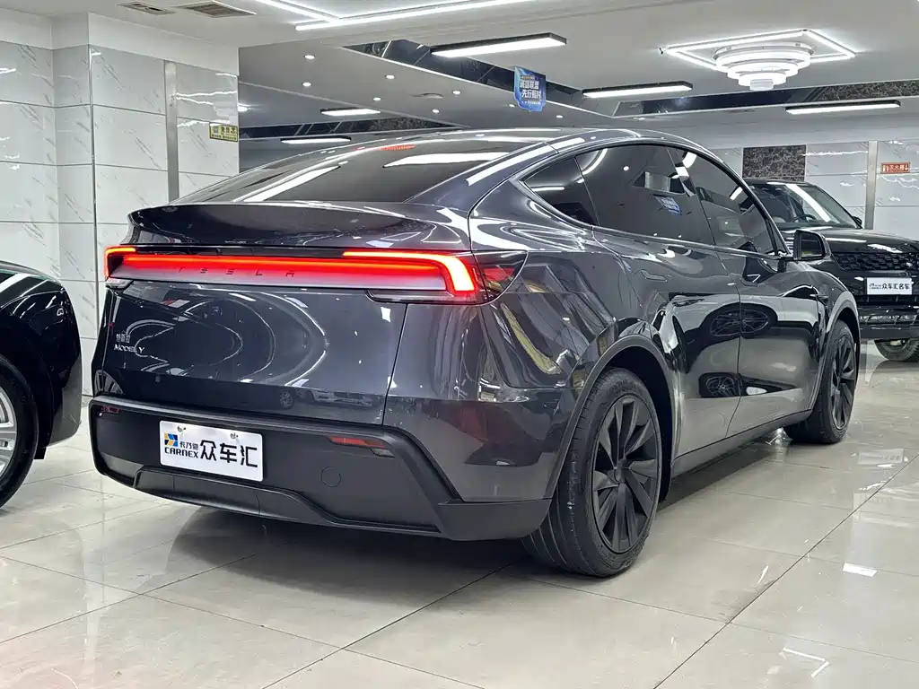 Tesla Model Y — миниатюра 6