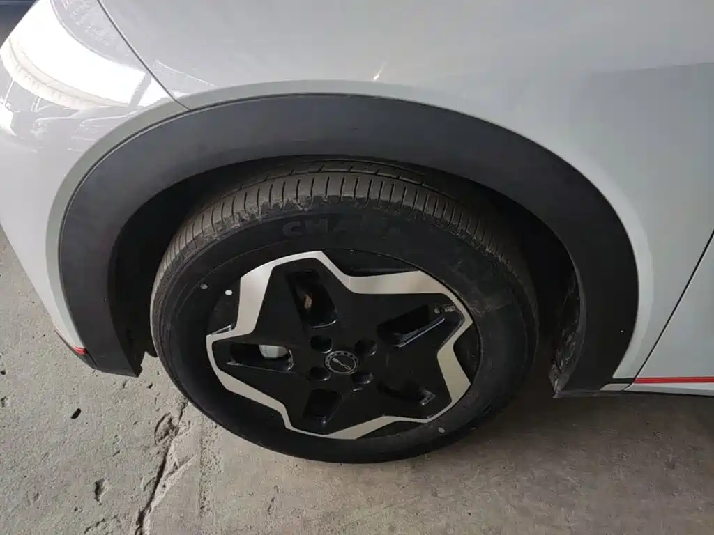 BYD Dolphin — миниатюра 25