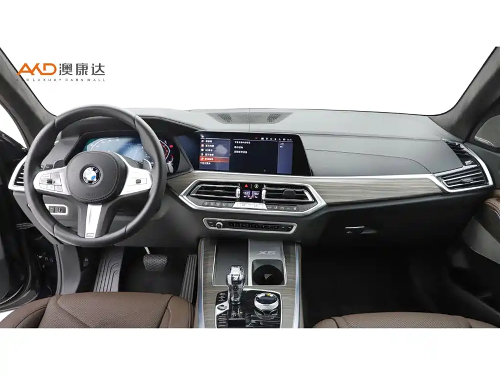 BMW X5 — миниатюра 5