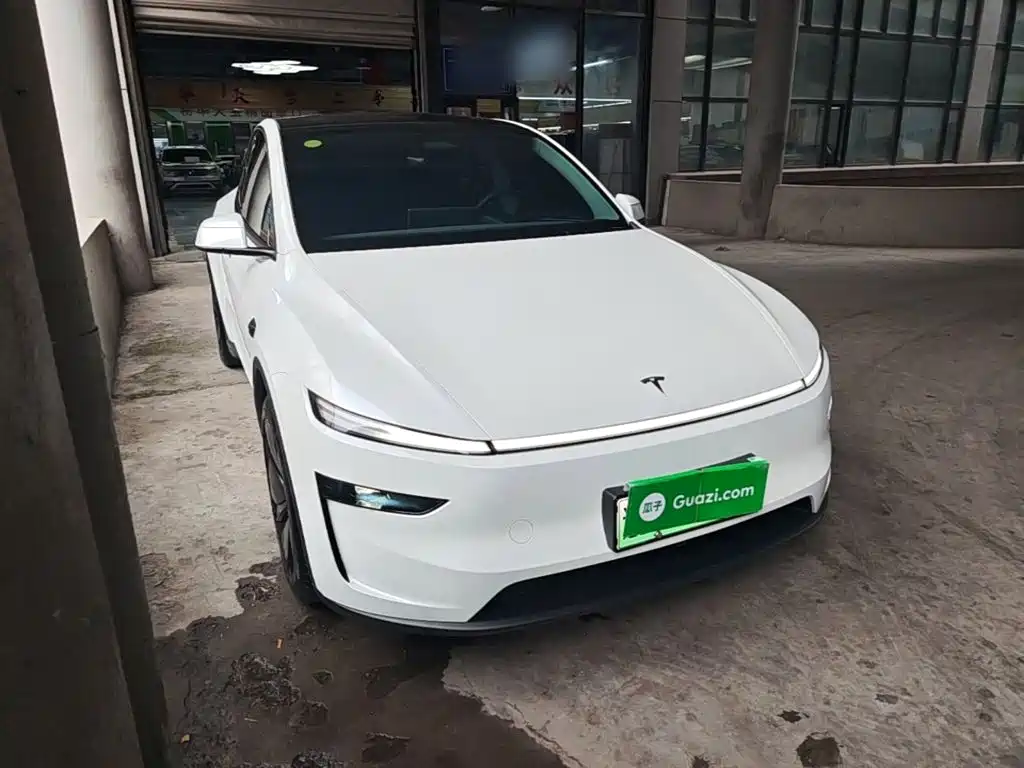 Tesla Model Y — миниатюра 4