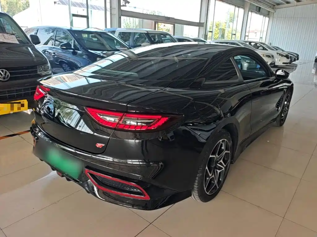 Neta Neta GT — миниатюра 7