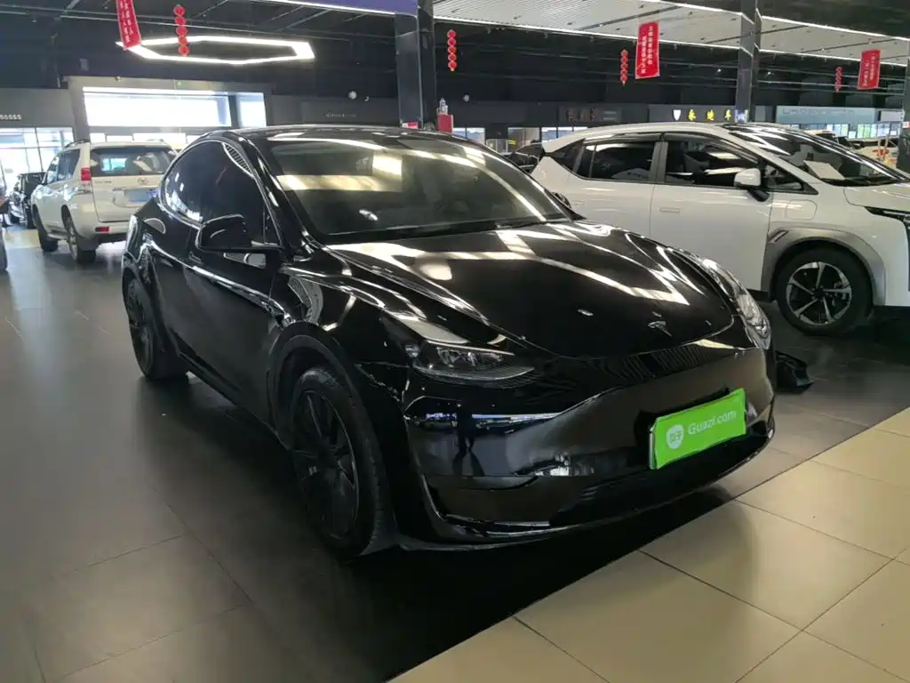Tesla Model Y — миниатюра 4