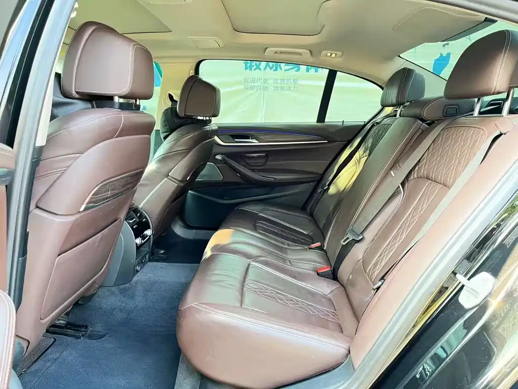 BMW 5 Series 5 2020 530Li Premium Luxury