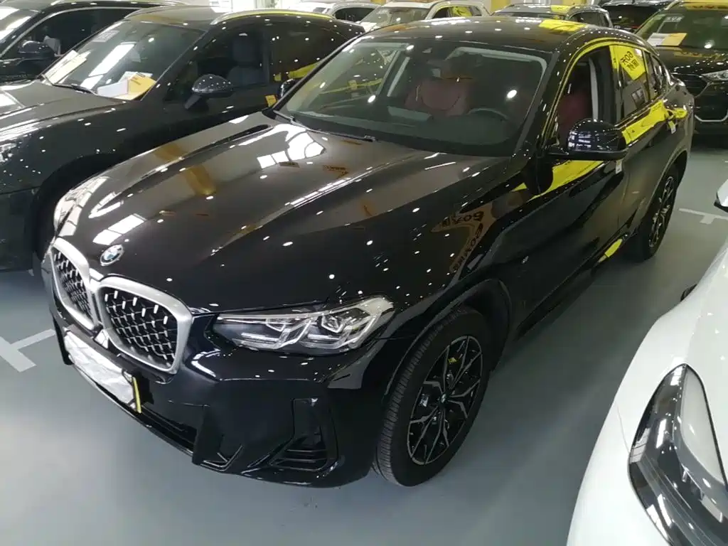 BMW X4 — миниатюра 2