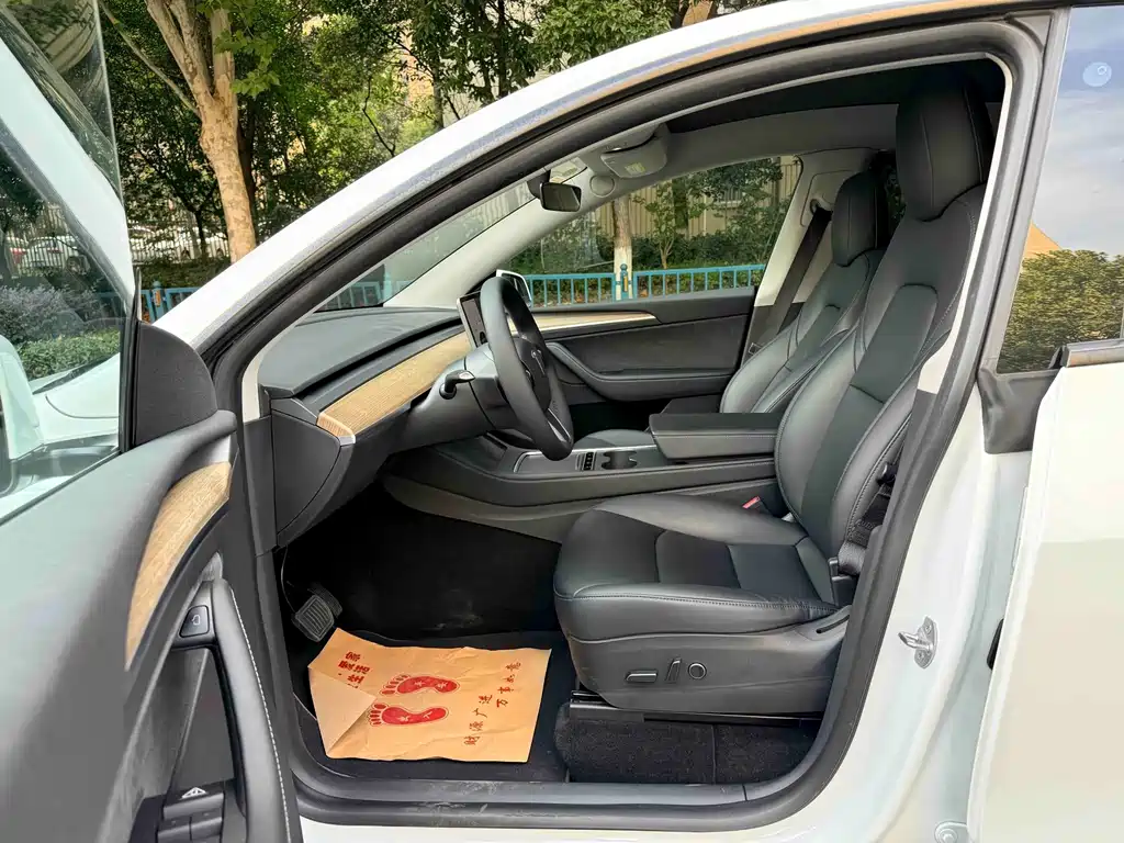 Tesla Model Y — миниатюра 7