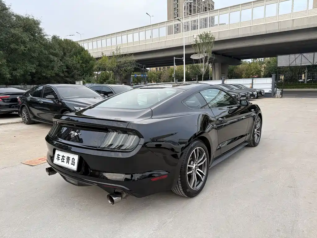 Ford Mustang — миниатюра 11