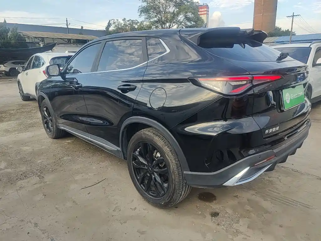 Oshan Oushang X5 PLUS — миниатюра 5