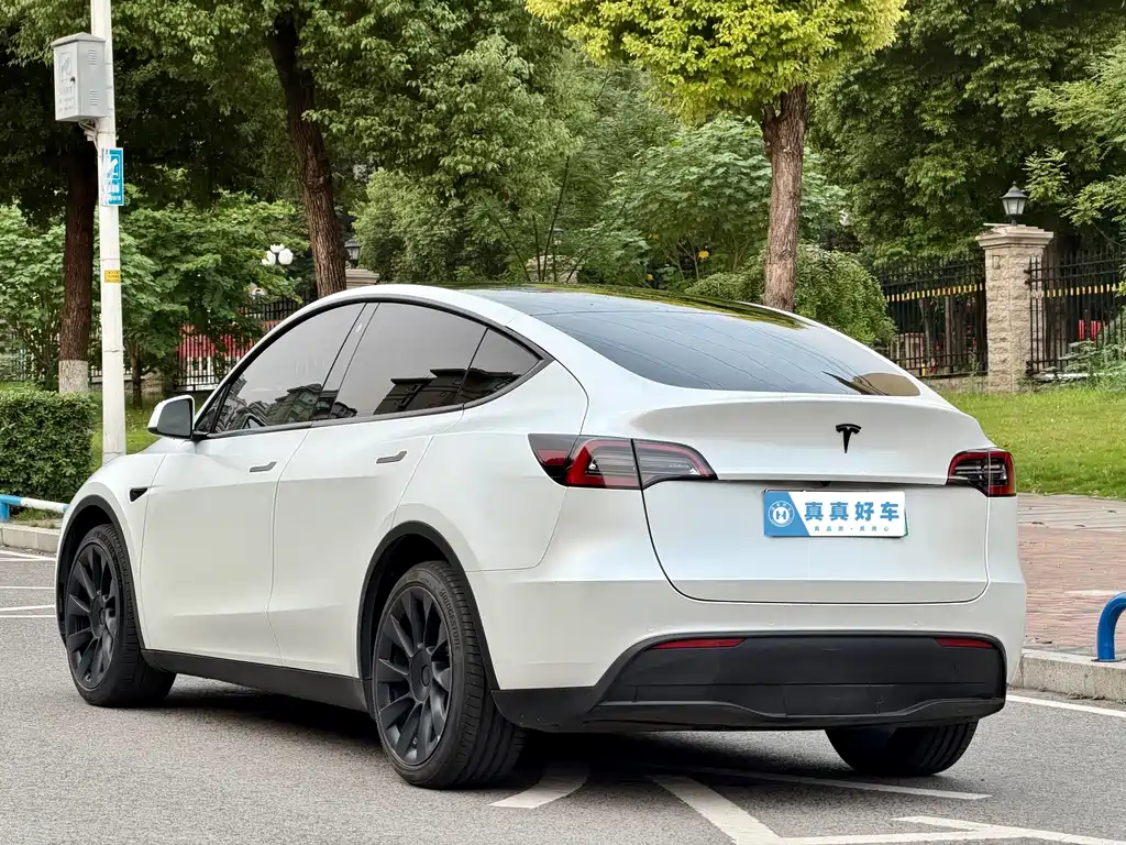 Tesla Model Y — миниатюра 6